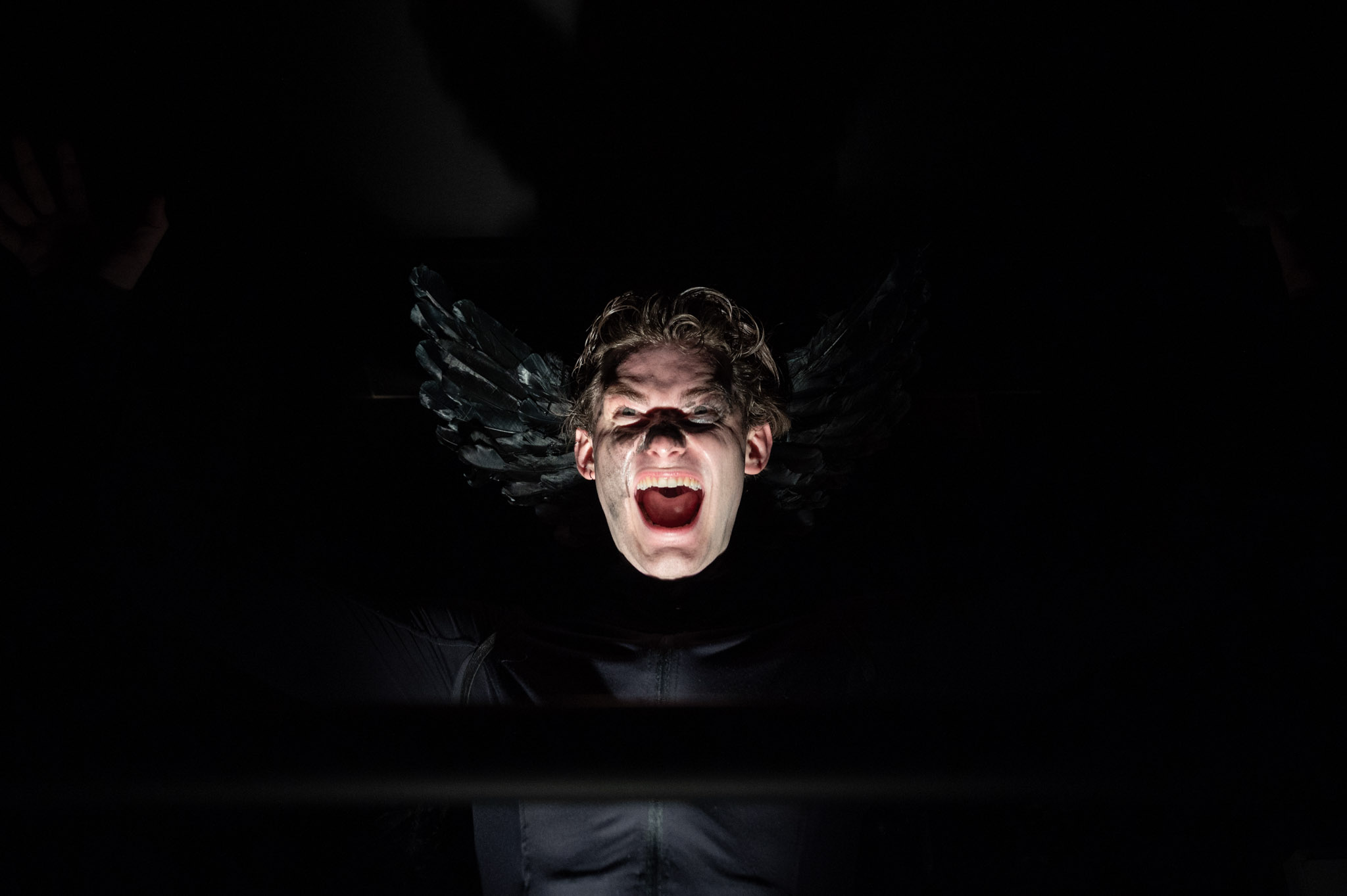 DSC 3187OSTROV MŔTVYCH BARA PODOLA